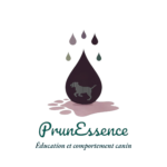 Goutte foncée avec un chien stylisé, entourée de gouttes colorées et d'une empreinte. Style fluide. Titre et sous titre vert.