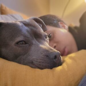 La tête de chien gris à côté de la tête de son humaine, toutes deux allongées sur un coussin couleur cuivré